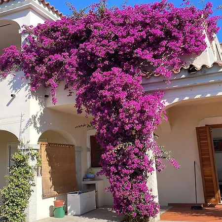 펜션 La Casa Dei Tati *