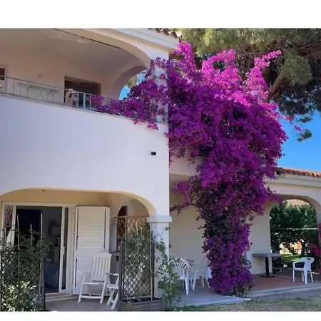 La Casa Dei Tati *